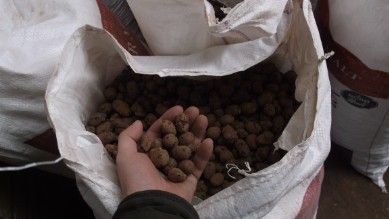 Купить керамзит в Калининграде